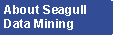 About SDMI