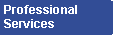 Professional Services